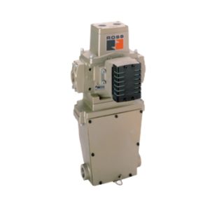 Electronic D-S Monitor SERPAR 35 Series